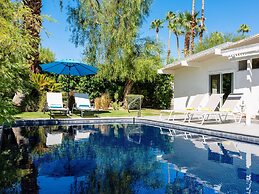 Alexander in the Sun