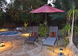 Alexander in the Sun