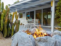 Alexander in the Sun