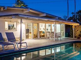 Alexander in the Sun