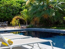 Alexander in the Sun