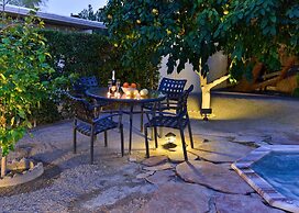 Alexander in the Sun