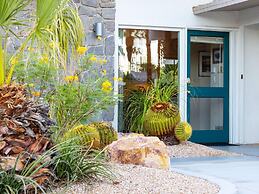 Alexander in the Sun