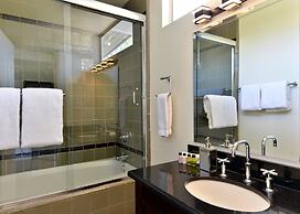 Alexander in the Sun