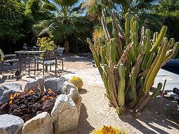 Alexander in the Sun