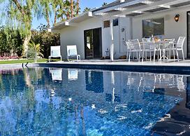 Alexander in the Sun