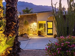 Alexander in the Sun