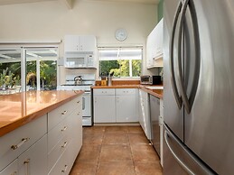 Alexander in the Sun