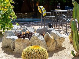 Alexander in the Sun