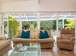 Alexander in the Sun