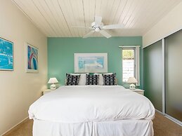 Alexander in the Sun