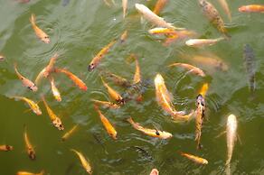 The Westlake Hotel & Resort Yogyakarta