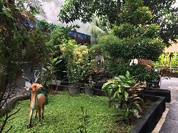 Jenny Bunker Homestay