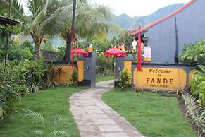 Pande Guest House Pemuteran