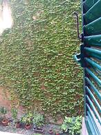 B&B Federica's House in Rome