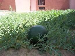 Hopi Cultural Center