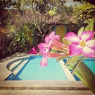 Captain Goose Hostel