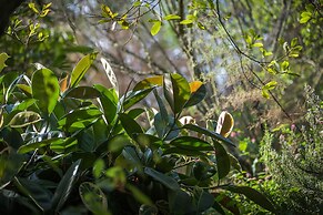 Hotel Rural Biniarroca - Adults Only