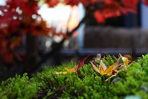 KAKUREAN HIDAJI - Adults Only