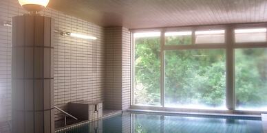 Hotel Nosegawa