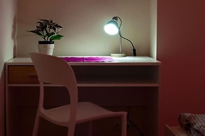 Quality APARTAMENT Jana Pawła II