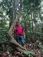 Hotel La Casa Amarilla City