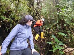 Hotel La Casa Amarilla City