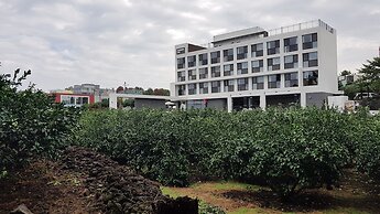 Hotel stay interview Jeju