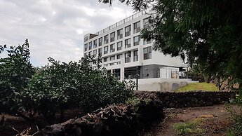 Hotel stay interview Jeju