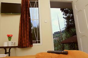 Bantal Guling Villa Bandung