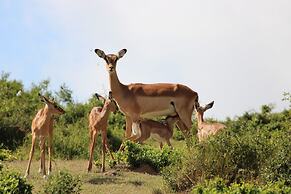 Elephants Lodge - Bellevue Forest Reserve
