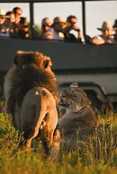 Elephants Lodge - Bellevue Forest Reserve
