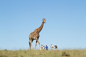 Elephants Lodge - Bellevue Forest Reserve