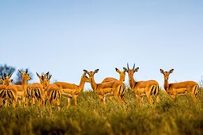 Elephants Lodge - Bellevue Forest Reserve