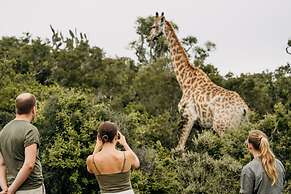 Elephants Lodge - Bellevue Forest Reserve