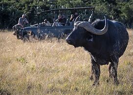 Elephants Lodge - Bellevue Forest Reserve