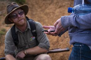 Elephants Lodge - Bellevue Forest Reserve