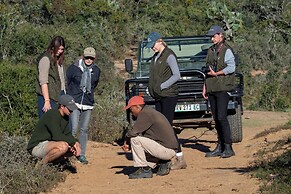 Elephants Lodge - Bellevue Forest Reserve