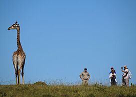Elephants Lodge - Bellevue Forest Reserve