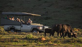Elephants Lodge - Bellevue Forest Reserve