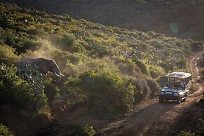 Elephants Lodge - Bellevue Forest Reserve