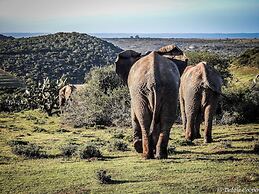 Elephants Lodge - Bellevue Forest Reserve