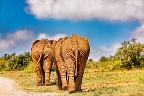 Elephants Lodge - Bellevue Forest Reserve
