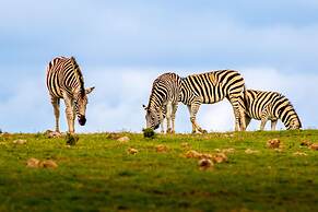 Elephants Lodge - Bellevue Forest Reserve