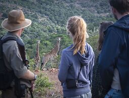 Elephants Lodge - Bellevue Forest Reserve