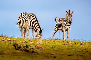 Elephants Lodge - Bellevue Forest Reserve