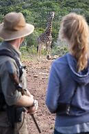 Elephants Lodge - Bellevue Forest Reserve