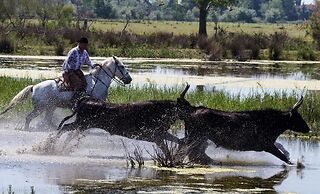 Mas des Rièges & Spa