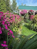 Sunset Motel at Armand's Gardens