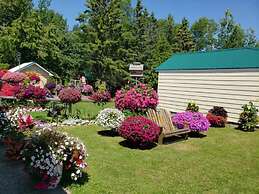 Sunset Motel at Armand's Gardens